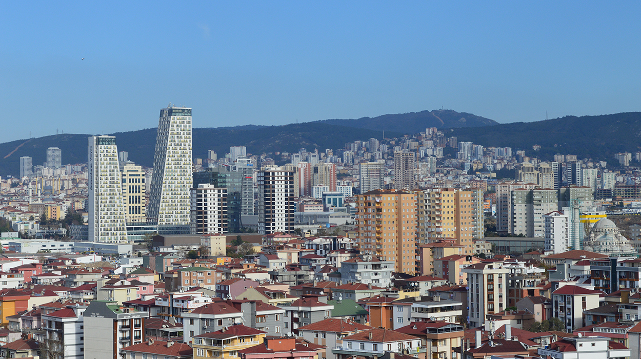 Kartal Kiralık Sepetli Vinç Firması